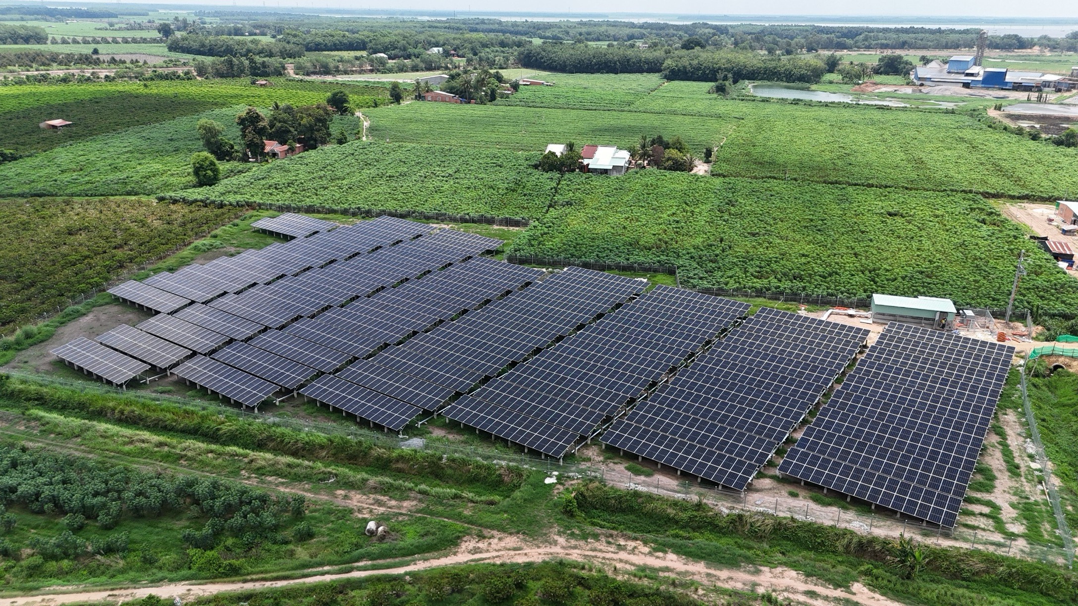 Hiep Phat’s site where the agri-PV is installed by TotalEnergies